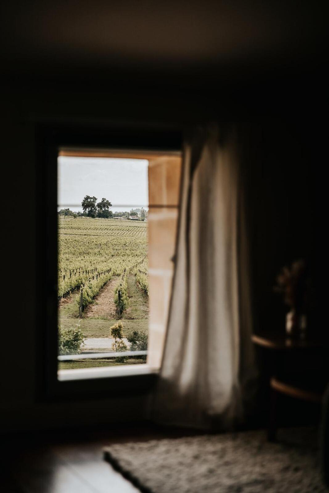 Château La Grande Clotte Lussac  Chambre photo
